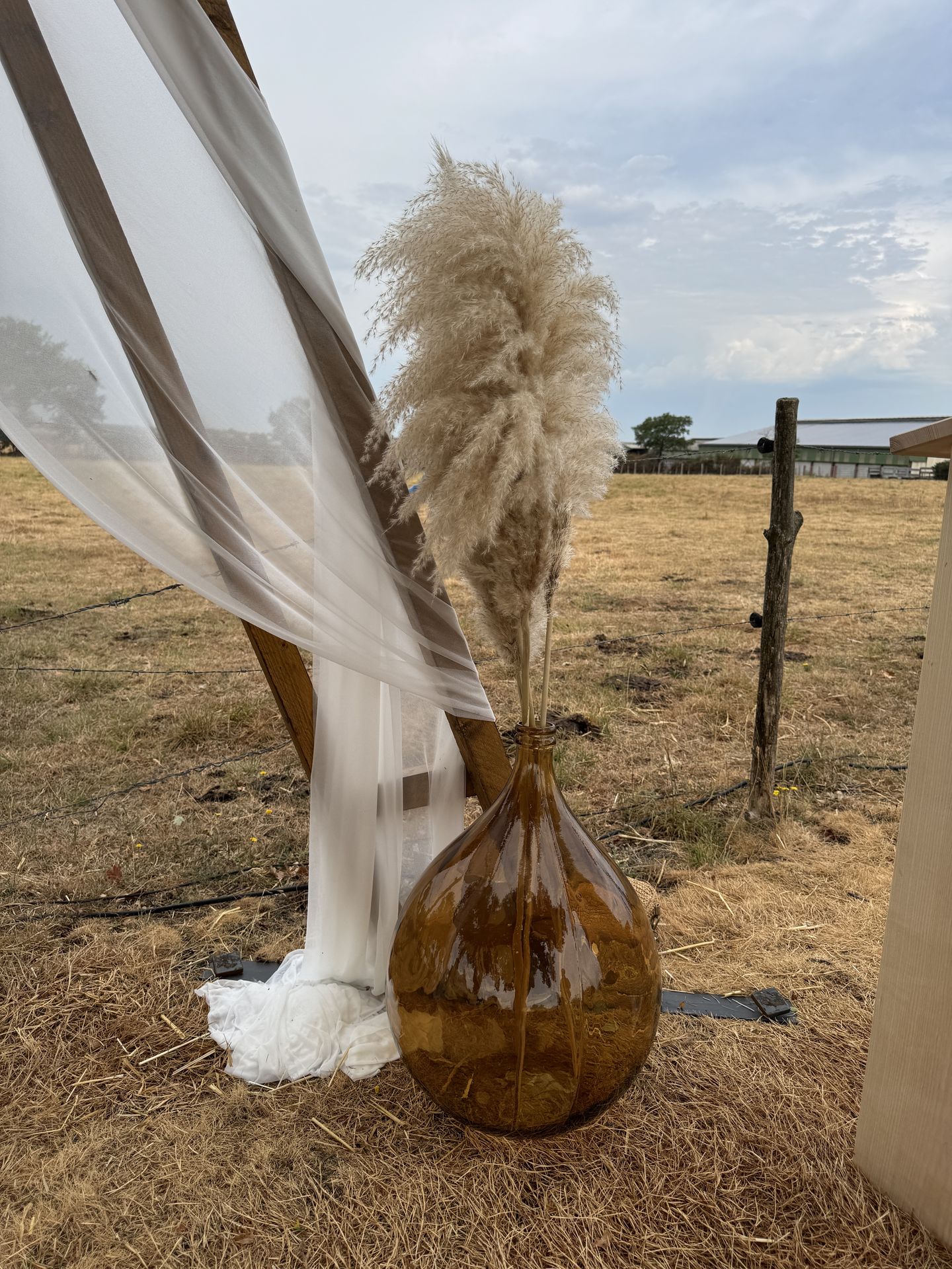Vase pampas arche