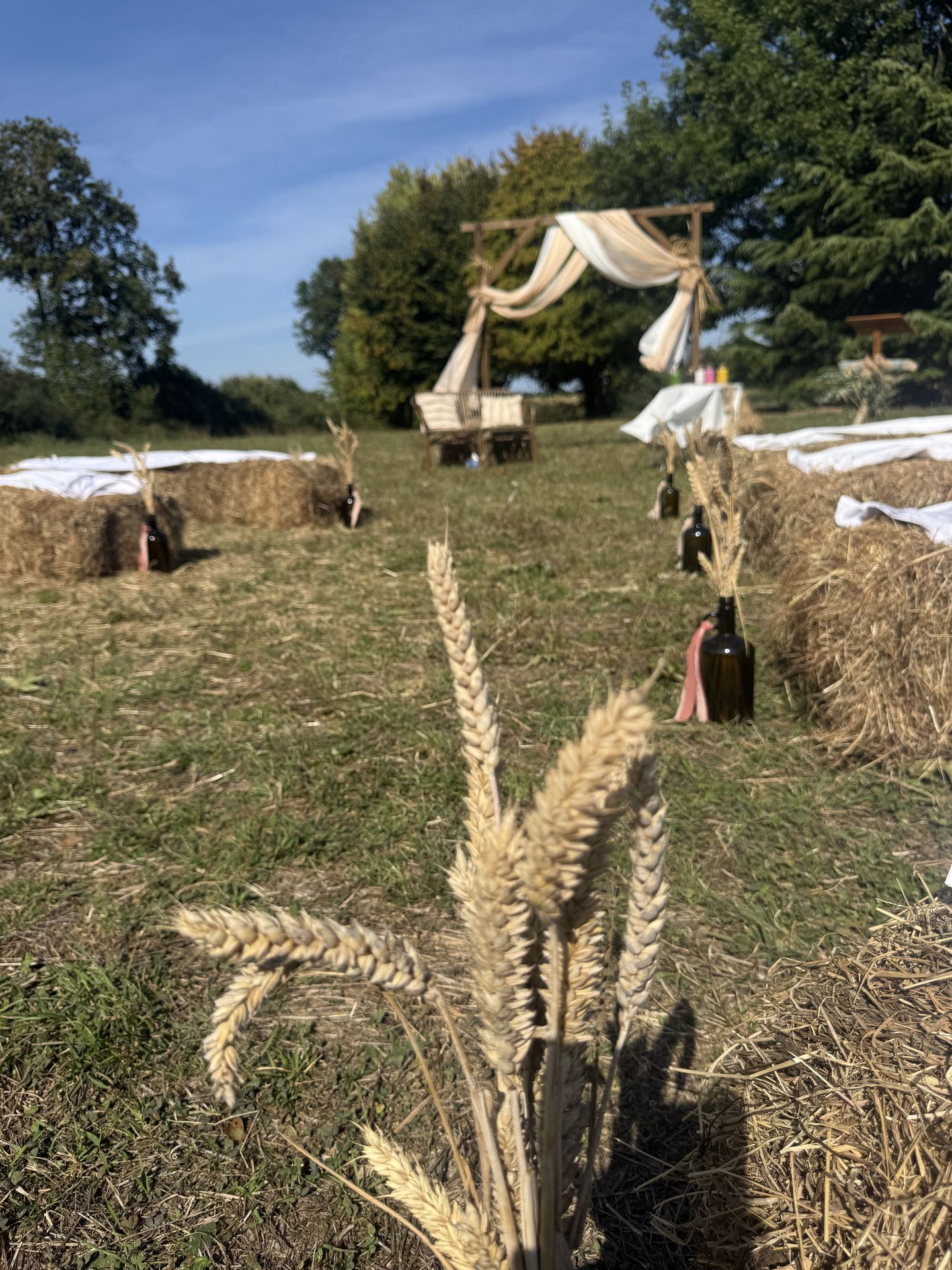 Renouvellement de voeux La pétinière vase avec épis de blé botte de paille arche tissu sable et blanc