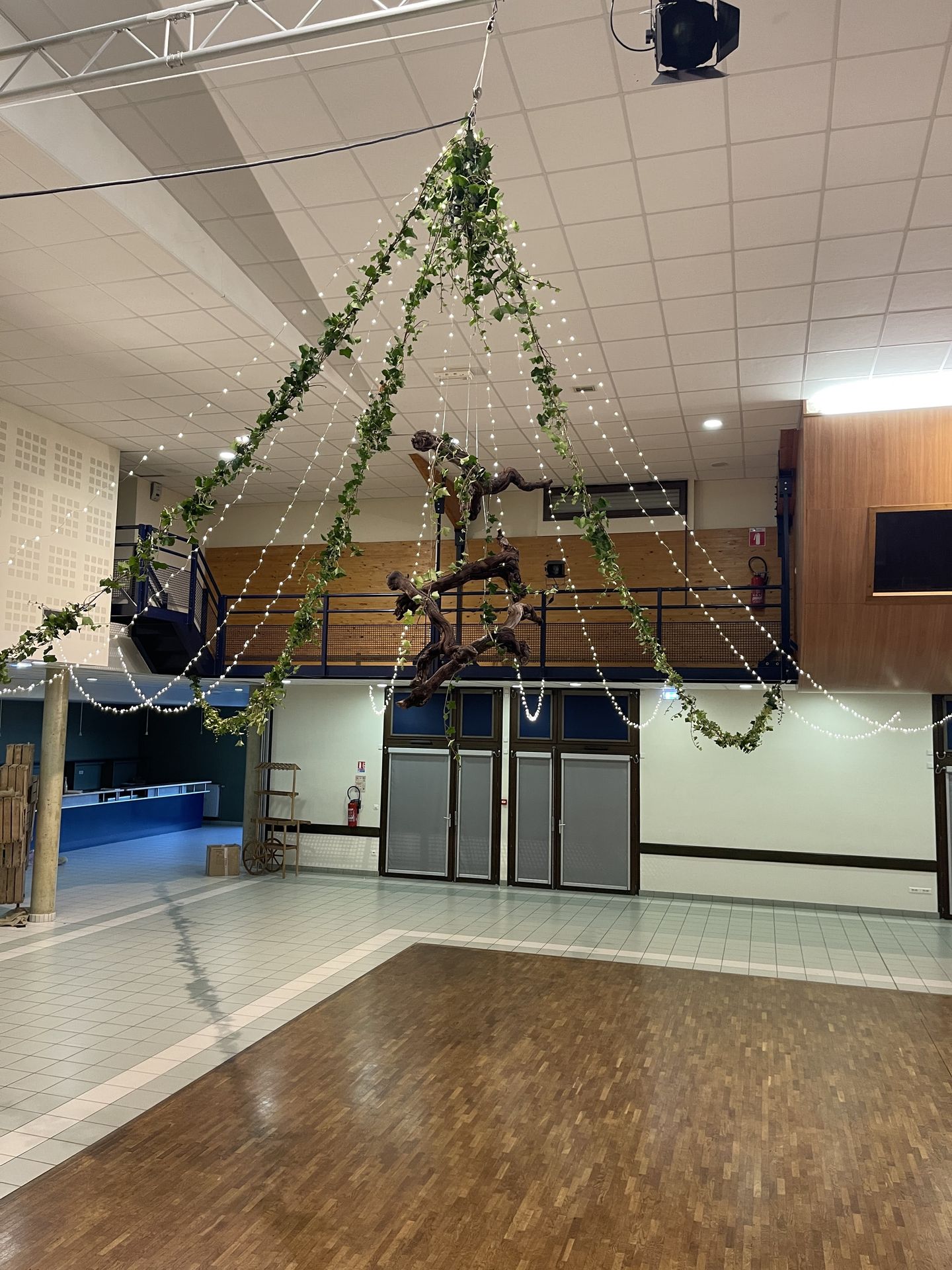 Mariage Salle le Lys plafond lière leds et bois arbre