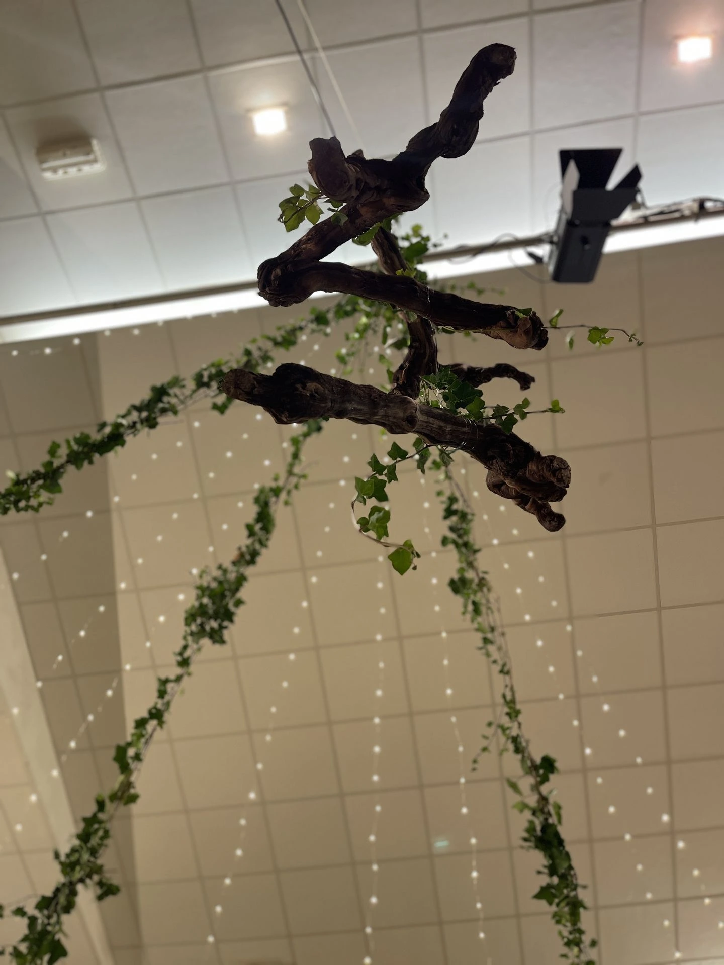 Mariage Salle le Lys plafond lière leds et bois arbre