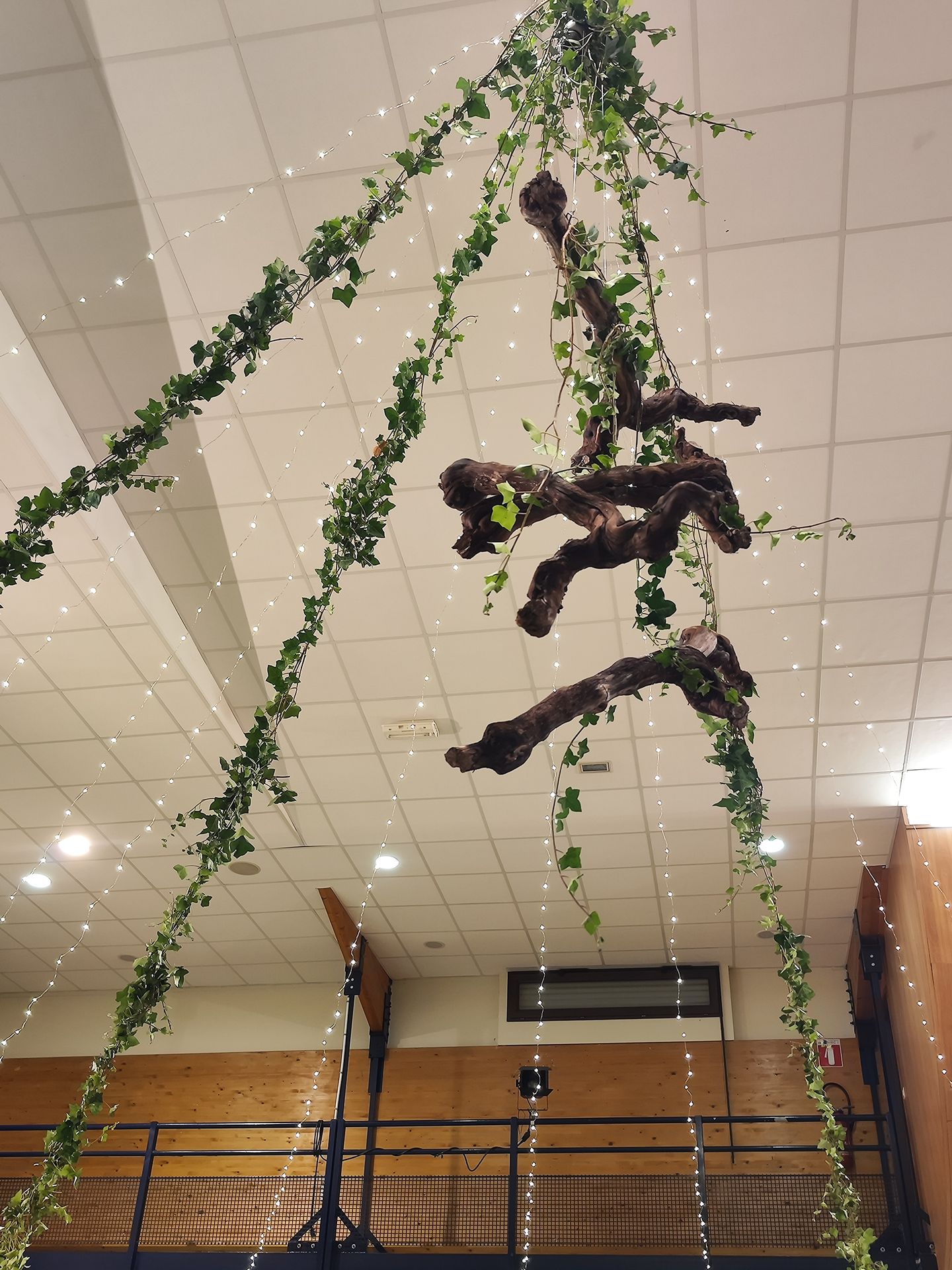 Mariage Salle le Lys plafond lière leds et bois arbre