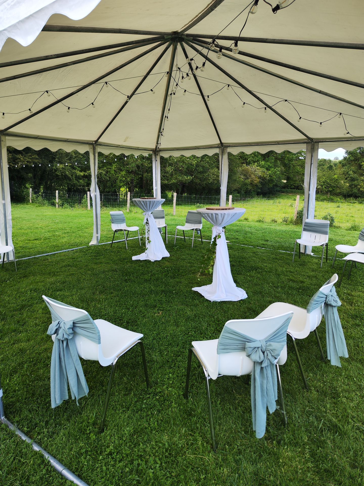 Mariage Vallée de la Roche vin d'honneur extérieur noeud de chaise vert sauge guirlande guinguette