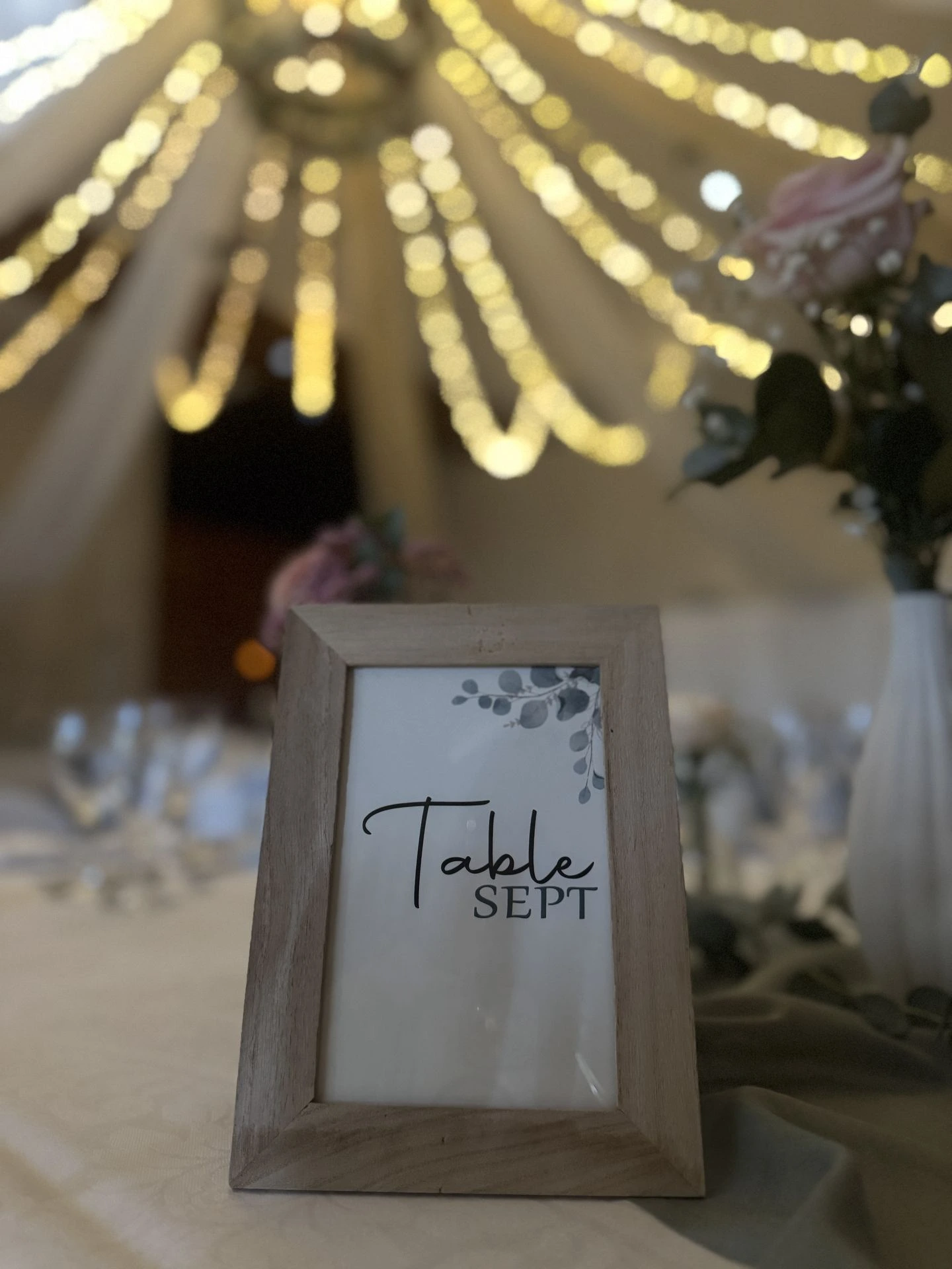 Mariage Espace convivial nom de table cadre naturel bois plafond leds