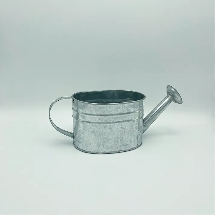 [LOC099] Arrosoir Zinc