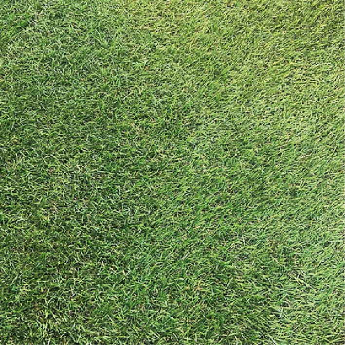 Pelouse synthétique