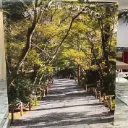 Affiche espace photo (2m)